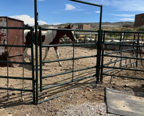 Horse Panels