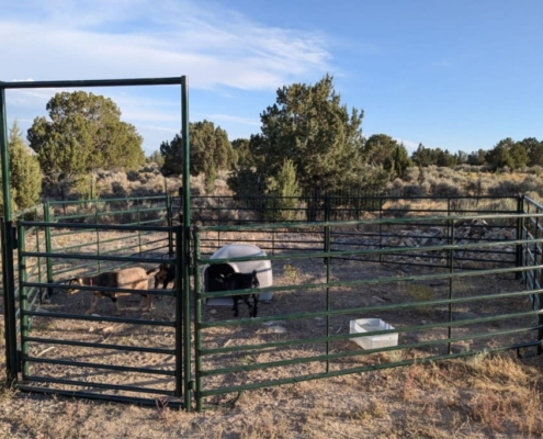 Sheep & Goat Pen